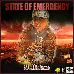 State Of Emergency (produced by Carley 5K)