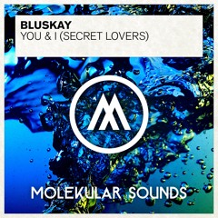 Bluskay - You & I (Secret Lovers) (Original Mix)