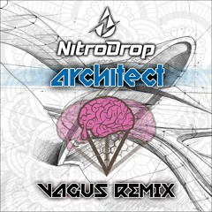 Nitrodrop - Architect (VAGUS Remix)#Demo