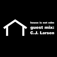 CJ Larsen Guest Mixes