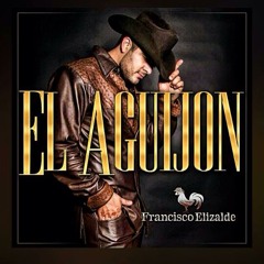 Francisco Elizalde & Remmy Valenzuela - Llevemos Serenata 2015