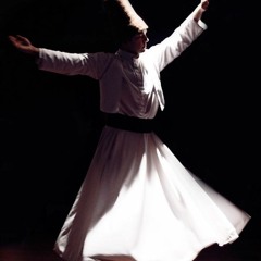 تملكتم عقلي و قلبي و مسمعي - عامر التوني