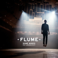 Flume - Some Minds (Ft. Miike Snow)