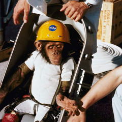 Brock the Chimp