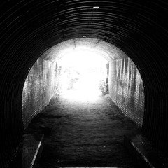 Sneak Peek: The Light at the End