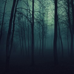 Shinzo - Haunted Zone