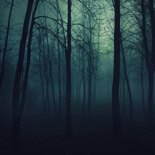 Shinzo - Haunted Zone