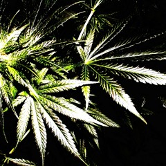 A Passage To Bangkok - No Vocal Track