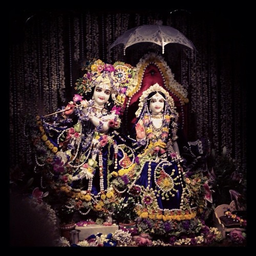 Gauravani 5.28.15 at the Bhakti Center
