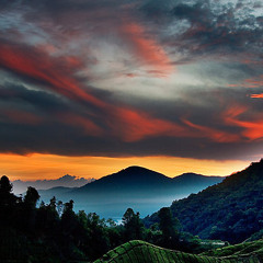 [old] Mysterious Land