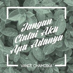 Jangan Cintai Aku Apa Adanya - Vandi Chamdika