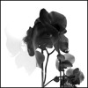 Efix And Henri Pfr I M Goin Down Feat Florence Welch And Kid Harpoon Mp3