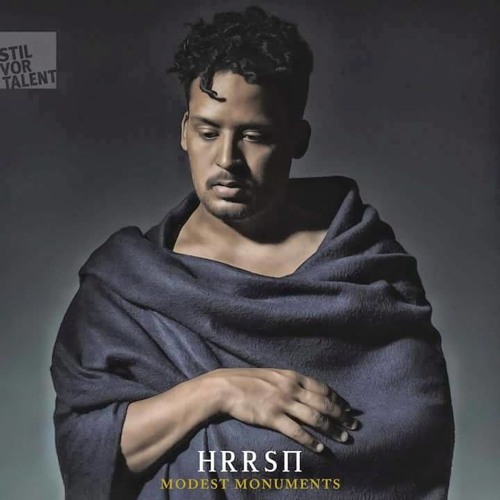 HRRSN - You Would Not Believe (Lars Moston Remix)[STIL VOR TALENT]