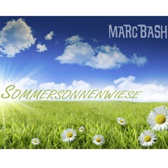 Marc Bash - Sommersonnenwiese