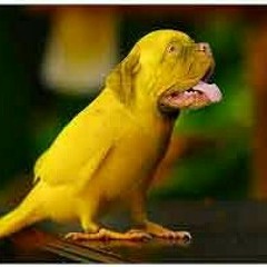 Lagu Batak - Trio Santana - Selamat Tinggal.mp3