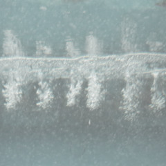 Stream mol-74 - それから彼女は花のように笑うのだった