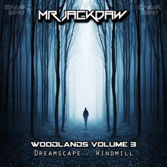 BWP033 - Mr Jackdaw & Dave Valley - Dreamscape