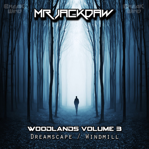 BWP033 - Mr Jackdaw & Dave Valley - Dreamscape