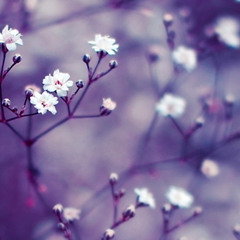 [remaster] Ryokō-sha