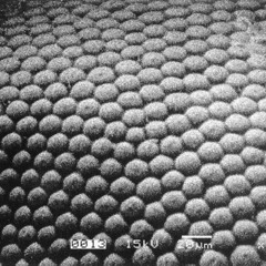 Mothmatix - 'Blacklight'