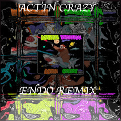 Actin Crazy Endever Freestyle