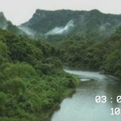The Song