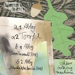 Viktor Talking Machine - Abby (Martin Waslewski Remix)- Monaberry028