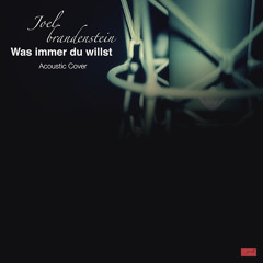 Joel Brandenstein - Was Immer Du Willst (Acoustic Version)