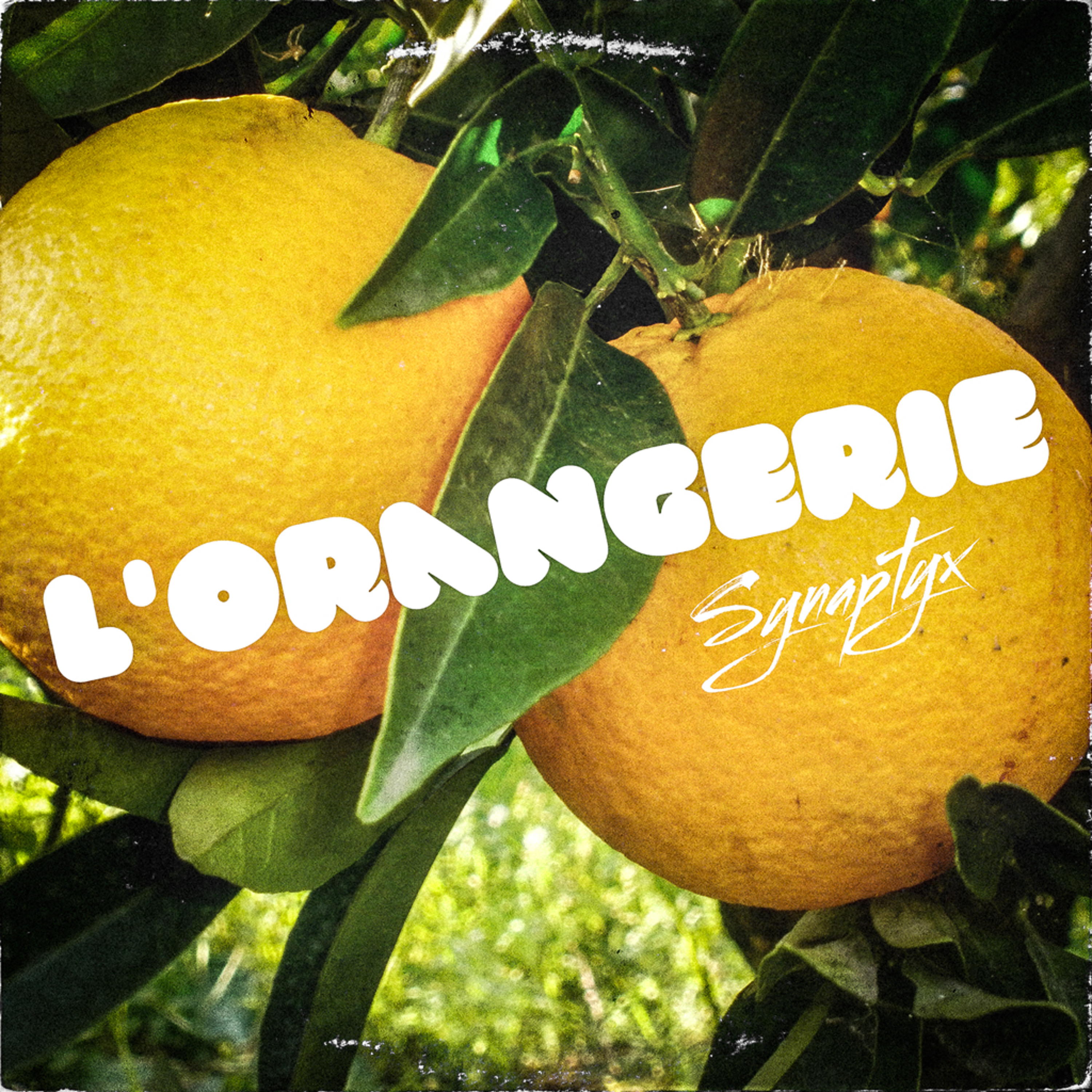 L'Orangerie episode artwork