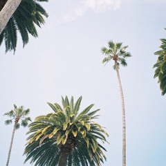 Flow (prod. Skiddy Daze)