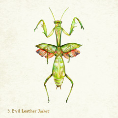 Bathymetry - Evil Leather Jacket