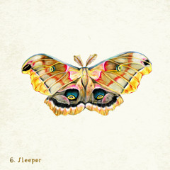 Bathymetry - Sleeper