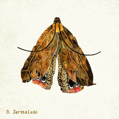 Bathymetry - Jarmalade