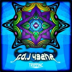 TrippIn (F-343Hz)