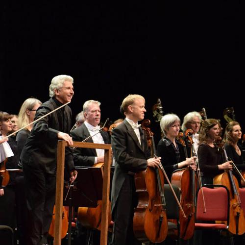 Stream So, what exactly does a conductor do? by Toronto Symphony