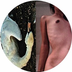 JG007 A2. Alexey Volkov - "Never"