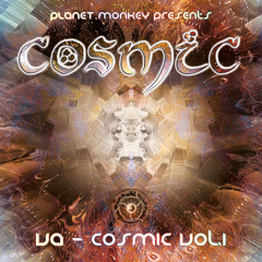 Flooting Grooves - Arra (Planet Monkey Records 2015) 144 bpm