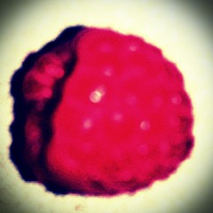 Rasberry (House Version) - 5 29 15, 2.29 PM