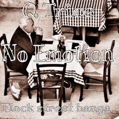 Q - Trice No Emotion