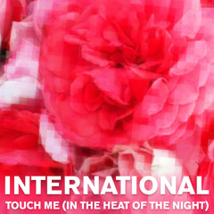 International - Touch Me (In the Heat of the Night) Maxi Mix