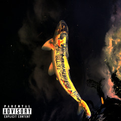 Soriano - Zenith (Prod.by Eddy Braveaux)