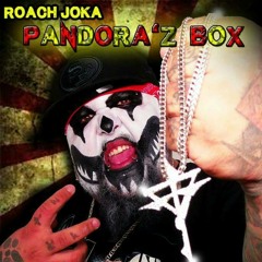 Roach Joka-Darkness Revisited