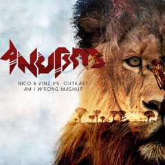Dj Anubas Mashup- Am I Wrong
