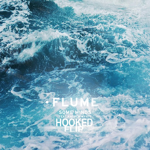 Flume // Some Minds (HOØKED Flip)