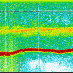 Thermocline
