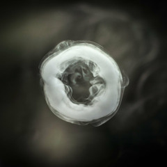 Au5+Fractal+Jauz: Feel The Smoke (HD Rework)