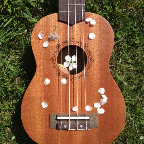 skinny love ukulele