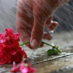 TA OSSO TA MOLHADO Fafá, Cláudio Pinheiro & Beto Cruz