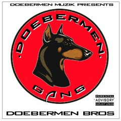 DOEBERMEN BROS 12. WE ACTIVE