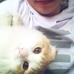 Мураками – Не спеши